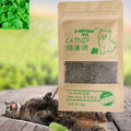 Natural Catnip Treats for Pets