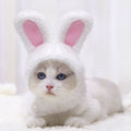 Warm Rabbit Ears Hat for Pets