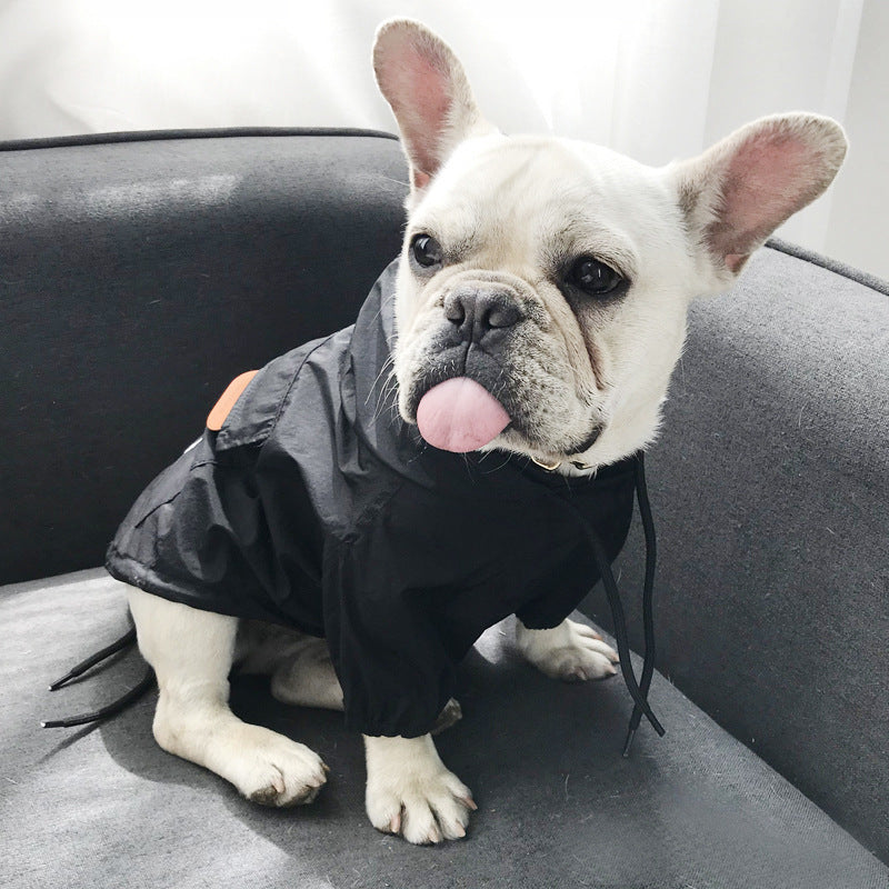 Dog-Safe Sunscreen for Pets
