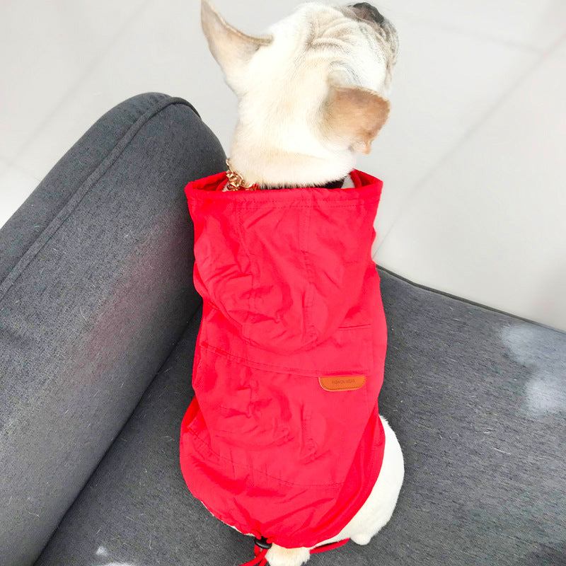 Dog-Safe Sunscreen for Pets