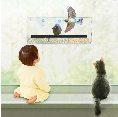 New Acrylic Feeder for Pets